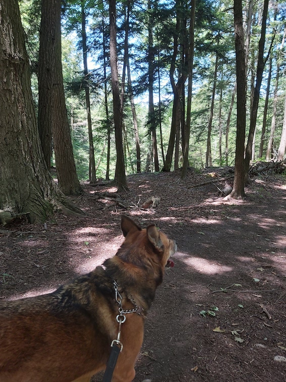 Hiking pic