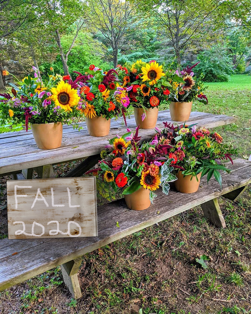 Flower pots on a bench