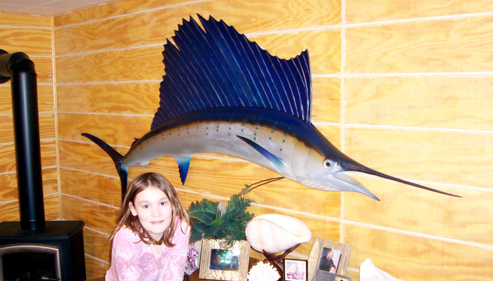 Pacific Sailfish