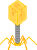 phage