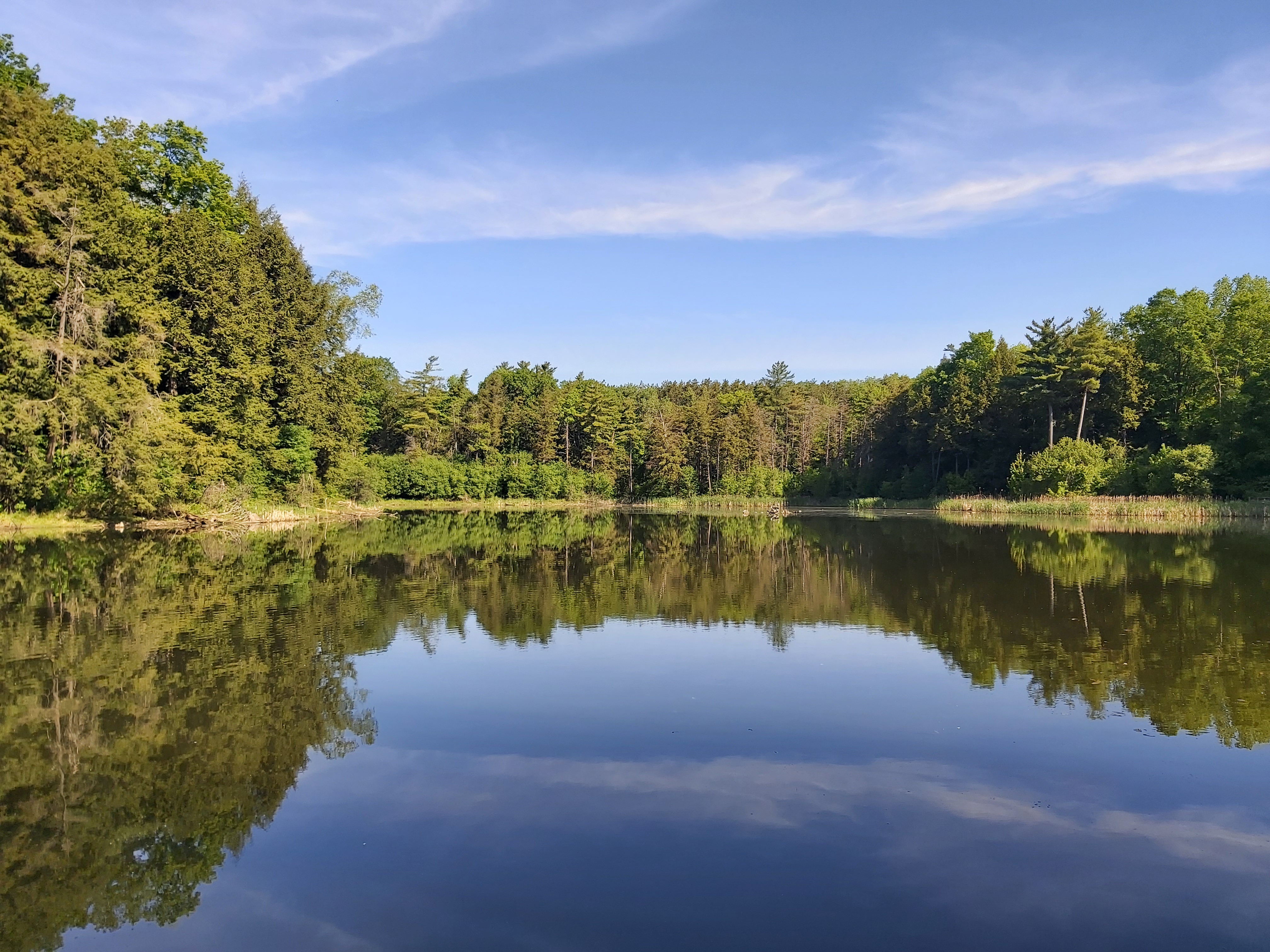 Memories of Muskoka